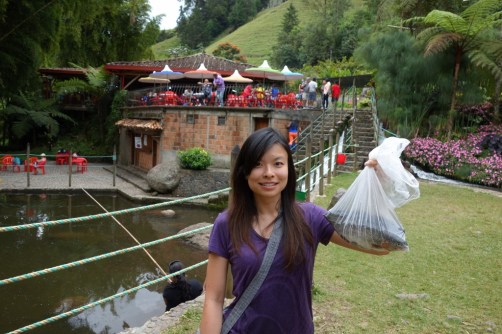 Trout bounty (Jardin, Colombia)