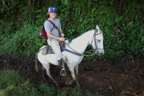 Jason's steed (Jardin, Colombia)