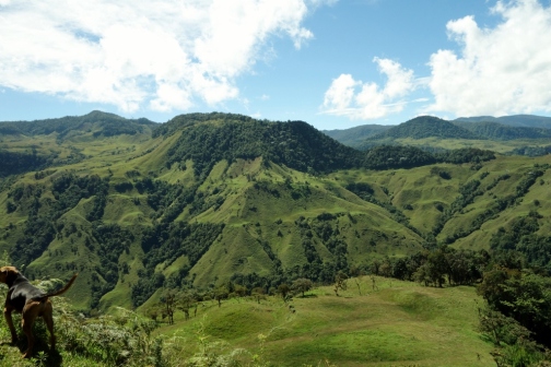 Andean scenery (Jardin, Colombia)