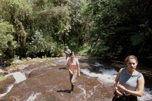 Climbing up the waterfall (Jardin, Colombia)