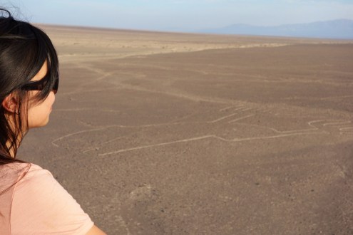Nazca Lines from the Mirador Viewing Tower in Nazca, Peru