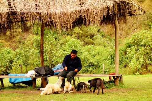 Day 2 of Salkantay Trek, Peru