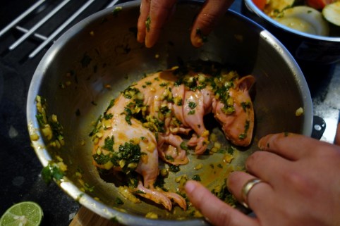 Marinating cuy (guinea pig) at home in Arequipa
