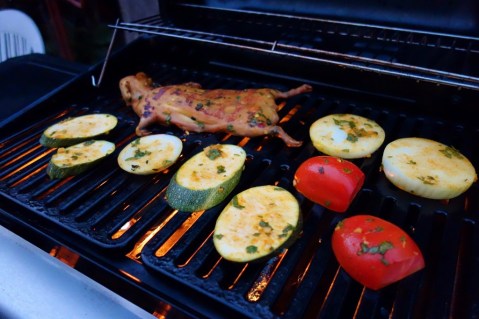 Barbequed cuy (guinea pig) at home in Arequipa
