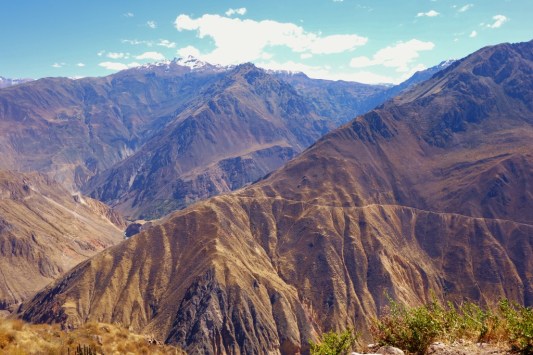 Colca Canyon, Peru