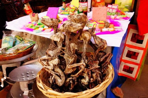Llama fetuses in the Witches' Market in La Paz, Bolivia