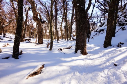 During our Fitz Roy hike