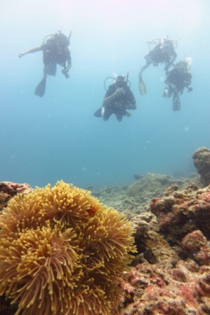 Us swaying in the current (Perhentian Islands, Malaysia)