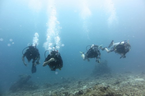 Perfect formation (Perhentian Islands, Malaysia)