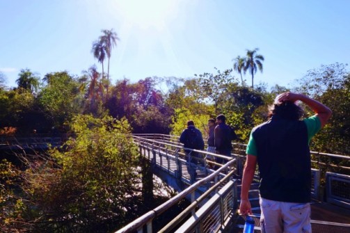 The 1-km long walkway that takes you to Devil's Throat