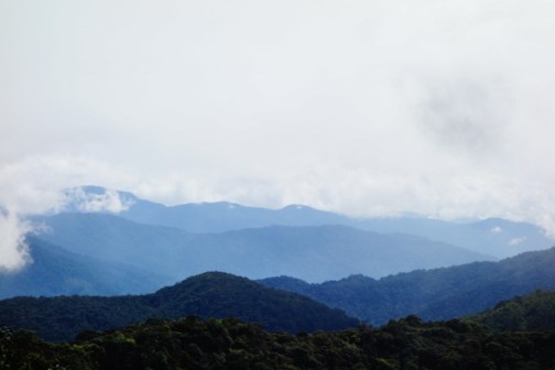 Rolling mountains (Cameron Highlands, Malaysia)